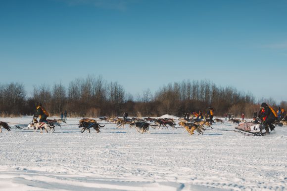 Carreras de trineos tirados por perros en el festival Trappers de The Pas.