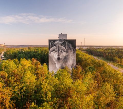 Wolf-Wandbild an der Seite eines Wohnblocks in Thompson