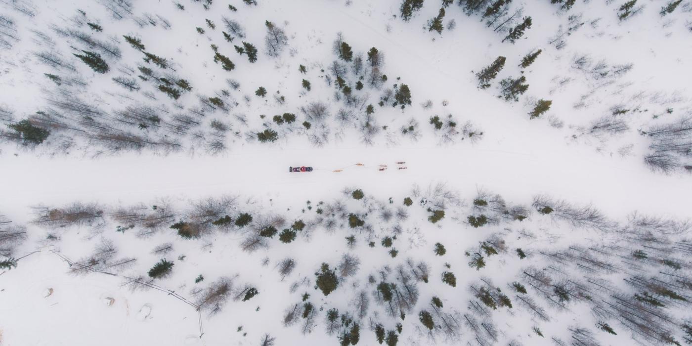 Vista aérea de un trineo tirado por perros por un sendero nevado con árboles a ambos lados.