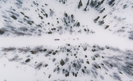Vista aérea de un trineo tirado por perros por un sendero nevado con árboles a ambos lados.