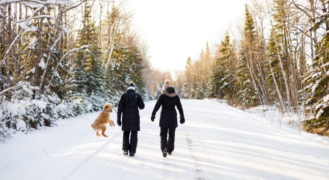 Dos personas caminan por un camino cubierto de nieve a través del bosque con su perro marrón.