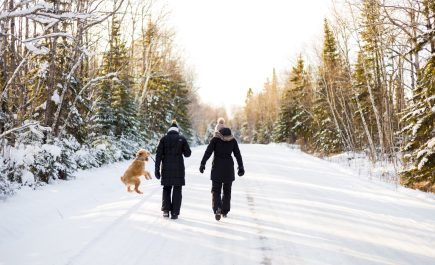 Dos personas caminan por un camino cubierto de nieve a través del bosque con su perro marrón.