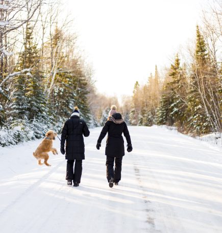 Zwei Personen wandern mit ihrem braunen Hund auf einer verschneiten Straße durch den Wald.