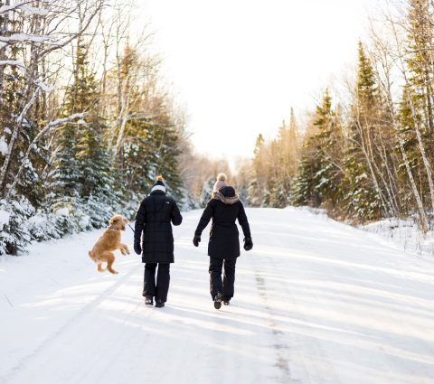 Dos personas caminan por un camino cubierto de nieve a través del bosque con su perro marrón.