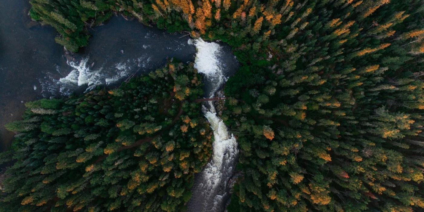 Vista aérea de un río que atraviesa un bosque