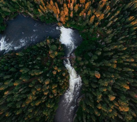 Luftaufnahme eines Flusses, der einen Wald durchschneidet