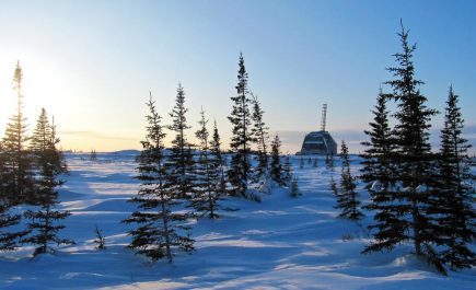 Looking through the thin pine forest at the Churchill Rocket Research Range in winter.