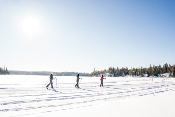 Tres personas practican esquí de fondo en un día despejado de invierno.