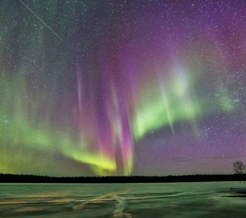Auroras boreales en verdes y rosas sobre un lago helado.