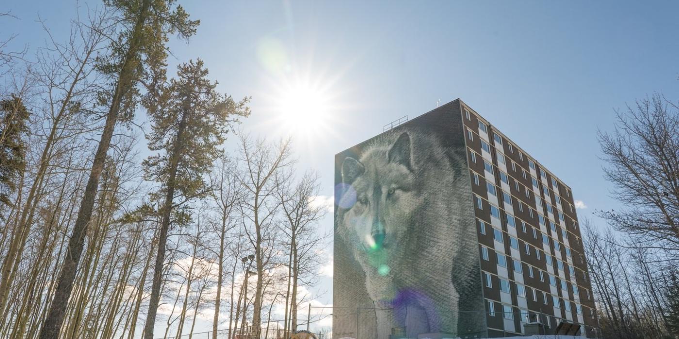 Blick auf die Wolfswandmalerei an der Seite eines Wohnblocks an einem sonnigen Wintertag in Thompson