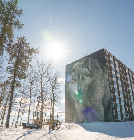 Vista del mural del lobo en el lateral de un bloque de apartamentos en un soleado día de invierno en Thompson.