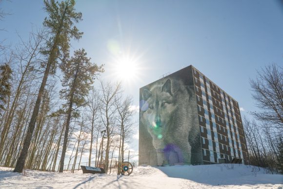 Vista del mural del lobo en el lateral de un bloque de apartamentos en un soleado día de invierno en Thompson.