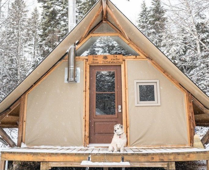 Lady Road Trip otentik