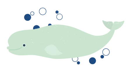 Beluga whale