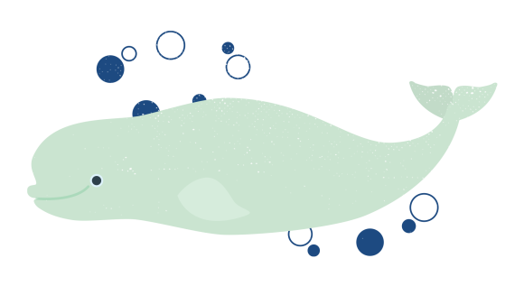 Béluga