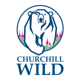 Churchill Wild logo