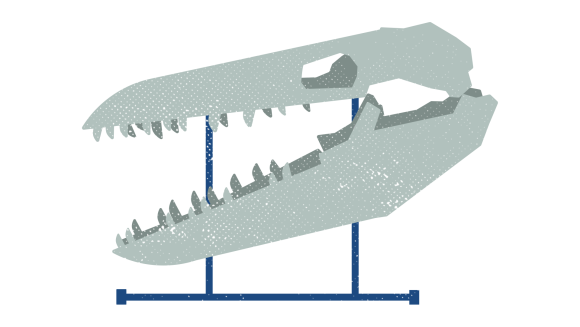 Ilustración de la cabeza de Bruce el Mosasaurio.