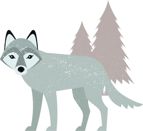 Illustration of a grey wolf with pine trees.