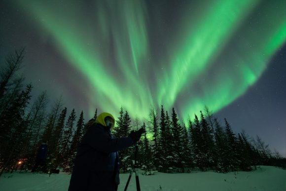 A skier with poles pauses in a snowy field, watching pink and green aurora borealis sweep over the forest.