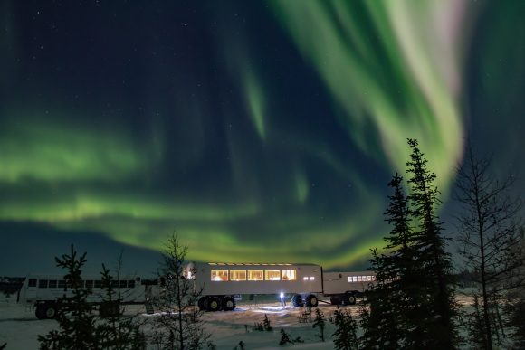 A lit tundra buggy lodge sits among snow-covered spruce trees at night as green and violet aurora borealis fills the sky.