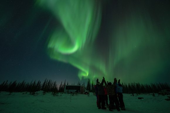 A group raises their arms as swirling green aurora borealis curls above the snowy tundra in Churchill at night.