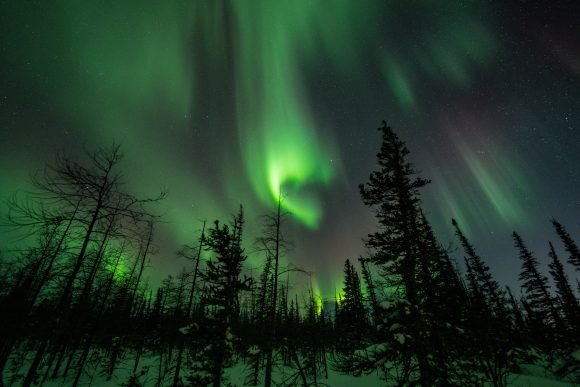 Green aurora borealis swirls faintly through a hazy sky above silhouetted spruce trees.