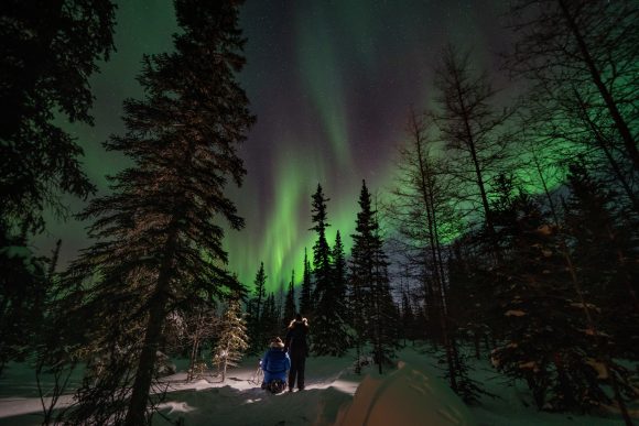 Two people stand among tall boreal spruce trees at night, watching green and violet aurora borealis streak across the sky.