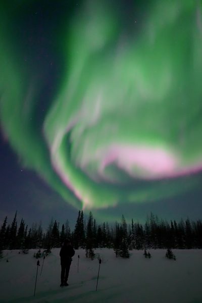 A skier with poles pauses in a snowy field, watching pink and green aurora borealis sweep over the forest.