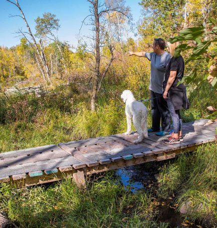 Zwei Menschen und ihr Hund gehen bei einem Spaziergang durch den Wald in Brandon Hills über einen kurzen Steg.