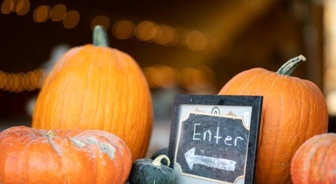 Several orange pumpkins of varying sizes and one tiny dark green gourd next to a sign "Enter" and an arrow
