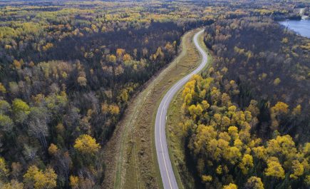 Vista aérea de una carretera serpenteante entre árboles amarillos y verdes, a lo largo de la orilla de un lago.