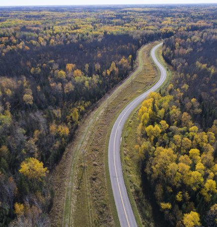 An areal view of a winding road through yellow and green trees, along the shore of a lake.