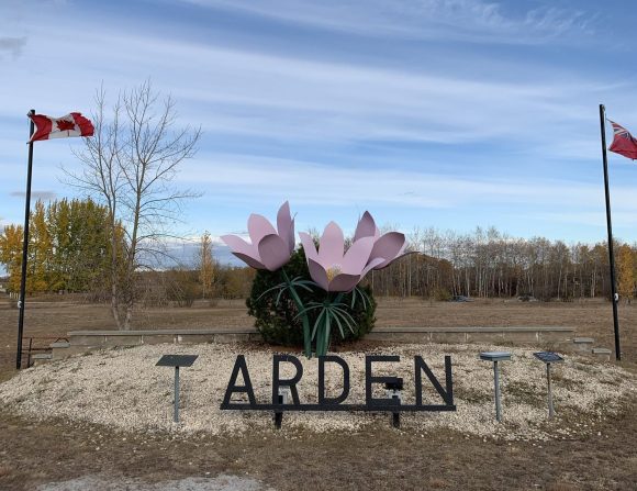 Krokus-Denkmal am Straßenrand in Arden