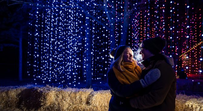 Couple embracing in the evening in front of the zoo lights at Assiniboine Park.