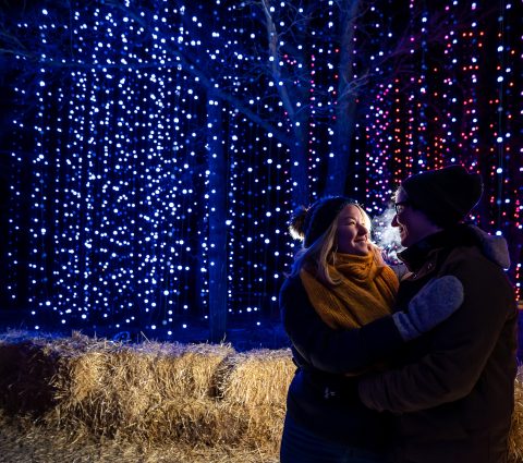 Couple s'embrassant le soir devant les lumières du zoo du parc Assiniboine.