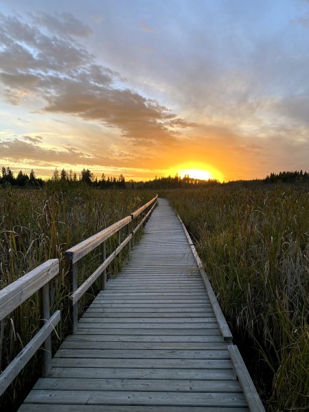 Blick über eine Promenade auf das orangefarbene Glühen des Sonnenuntergangs.