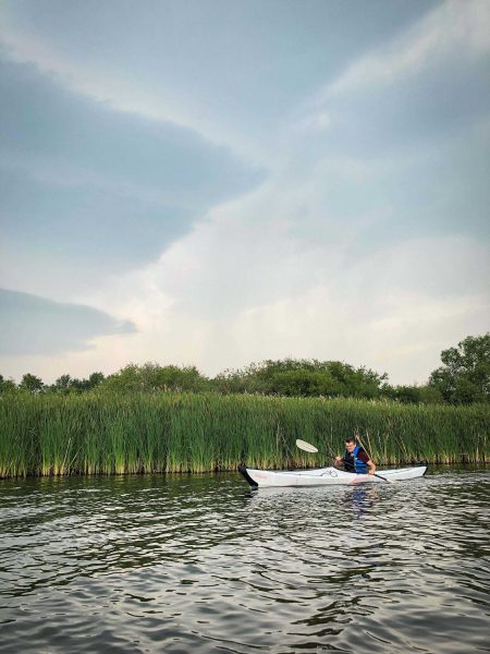 A person kayaks in front of reeds in the Boissevain reservoir