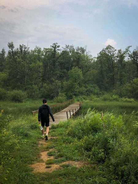 A person walks toward a wooden bridge that crosses a marsh on the Turtle's Back Trail