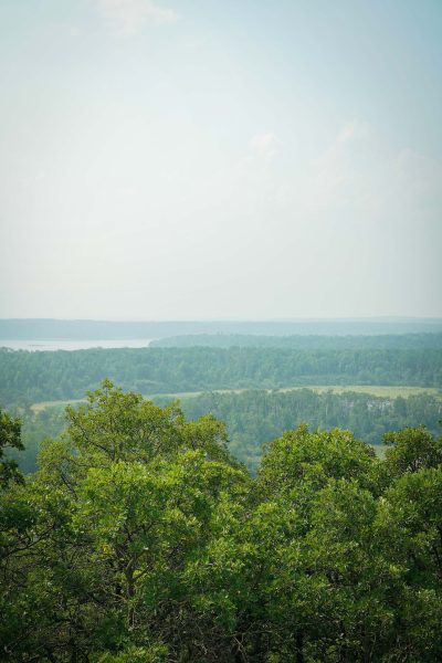 View from the top of the tower on the Turtle's Back Trail. View is above the tree tops of forested areas, a lake and fields.