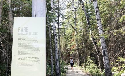 A woman walking down Brokenhead Interpretative Trail with an informational sign about the trail visible