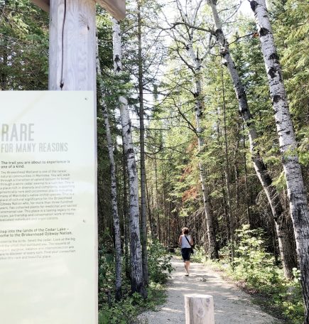A woman walking down Brokenhead Interpretative Trail with an informational sign about the trail visible