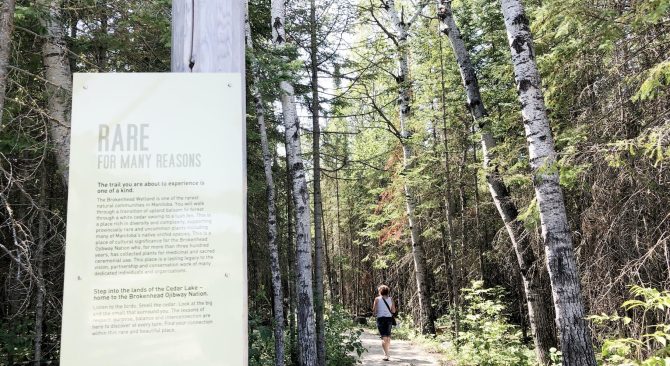 A woman walking down Brokenhead Interpretative Trail with an informational sign about the trail visible