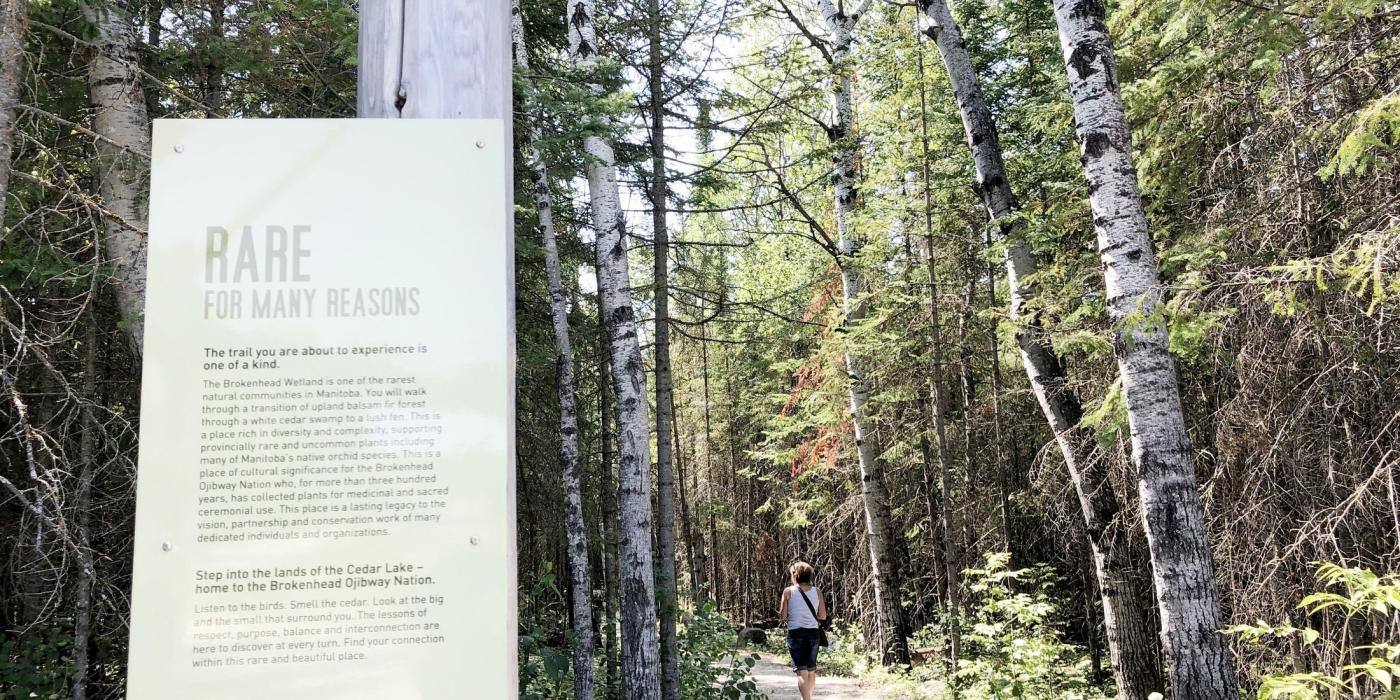 Une femme marchant sur le sentier d'interprétation de Brokenhead, avec un panneau d'information sur le sentier bien visible