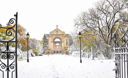 Cathédrale de Saint-Boniface en hiver, arbres et sol plein de neige