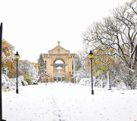 Cathédrale de Saint-Boniface en hiver, arbres et sol plein de neige
