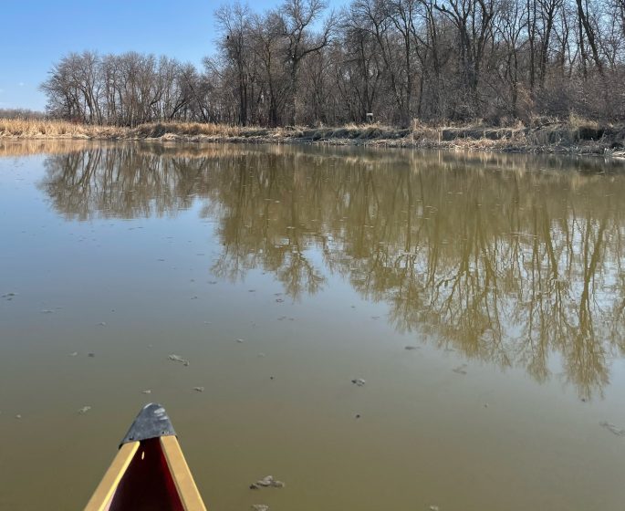 Bow of a canoe on Cooks Creek