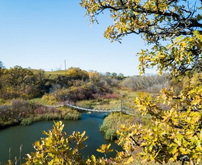 Eine kleine schwenkbare Seilbrücke über einen Bach