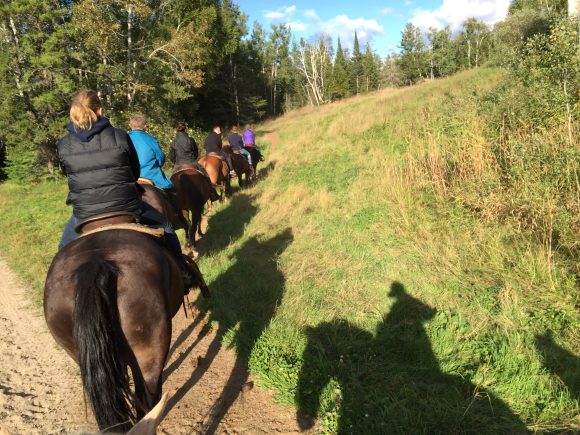 Una hilera de personas a caballo se embarcan en un paseo por el bosque boreal del Parque Provincial de Whiteshell.