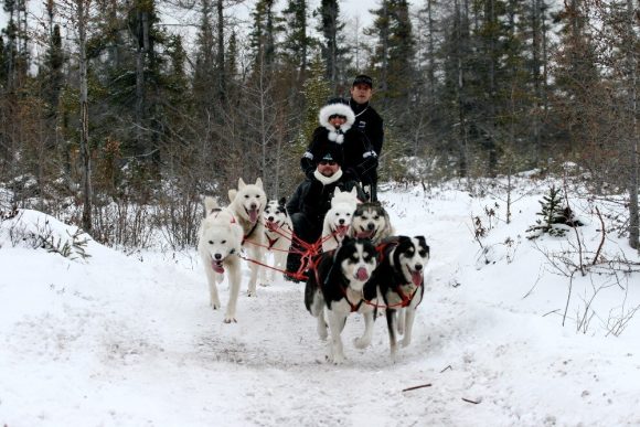 Three people enjoying a day of dog sledding through a snow covered forest.