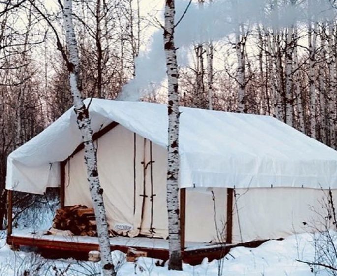 Cozy cabin in the woods at Harness Adventure Mushing Co.